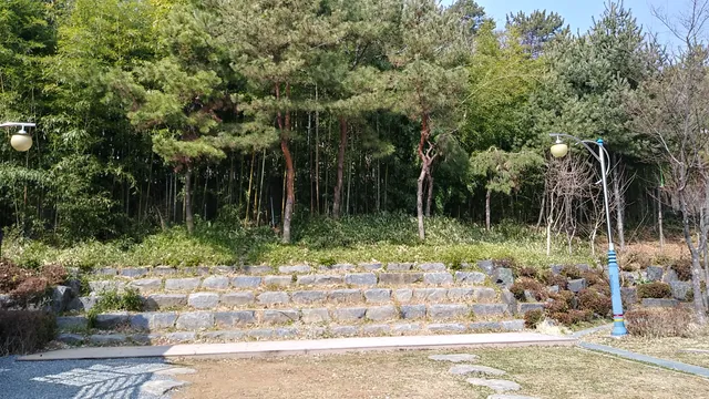 photo-1