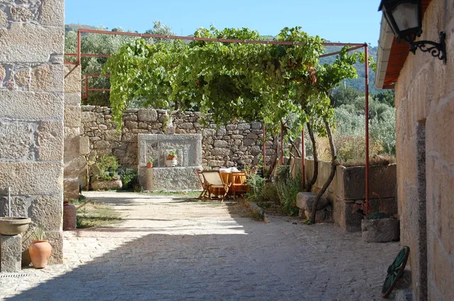 Quinta do Seixo - Faia Guarda