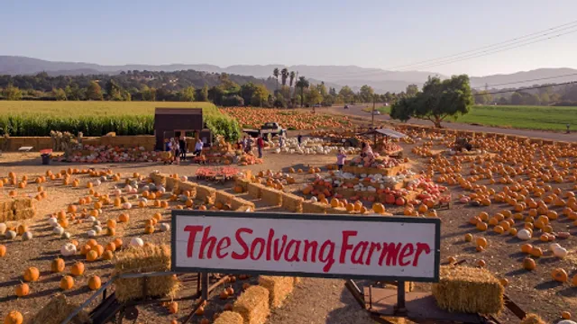 Solvang Farmer Pumpkin Patch