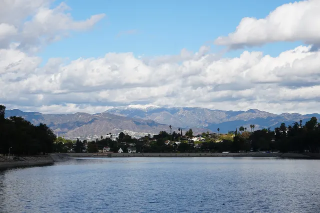 Silver Lake Dog Park