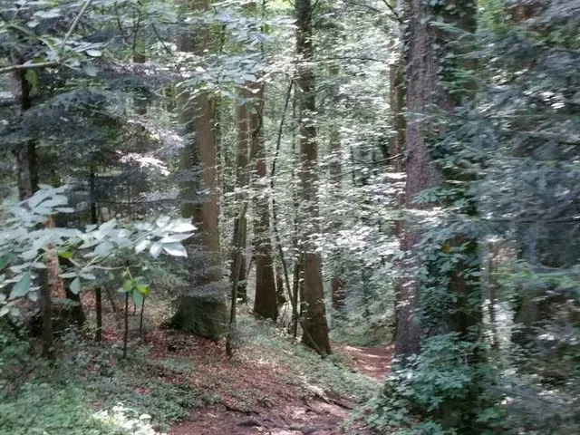 Wolfsschlucht Kriens