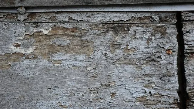 Mémorial Maginot de Haute-Alsace