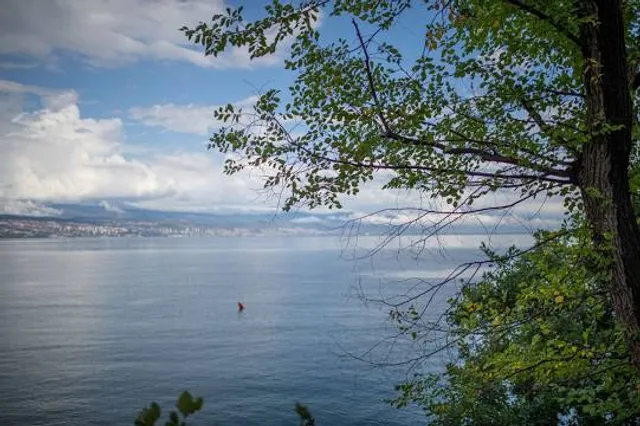 Parc de la Châtaigneraie