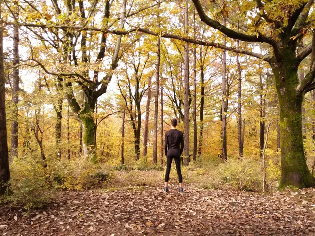 Saravan Forest Park, Phase 1