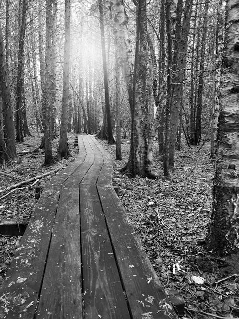Little Sand Bay Nature Preserve