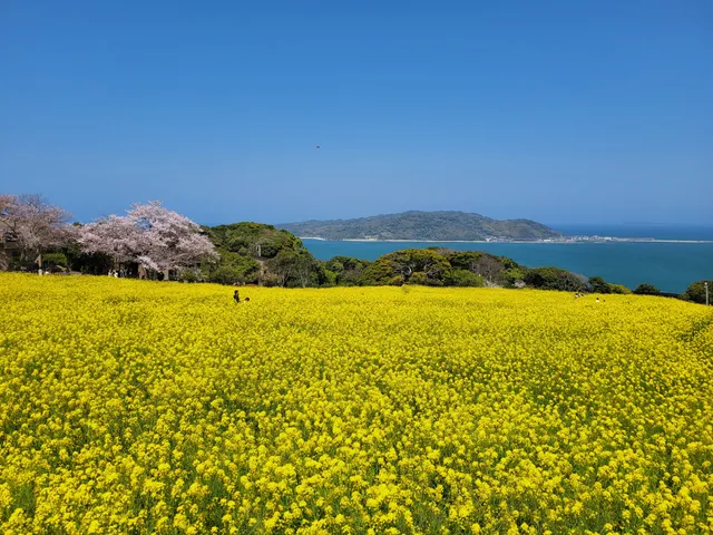 Nokonoshima Island Park
