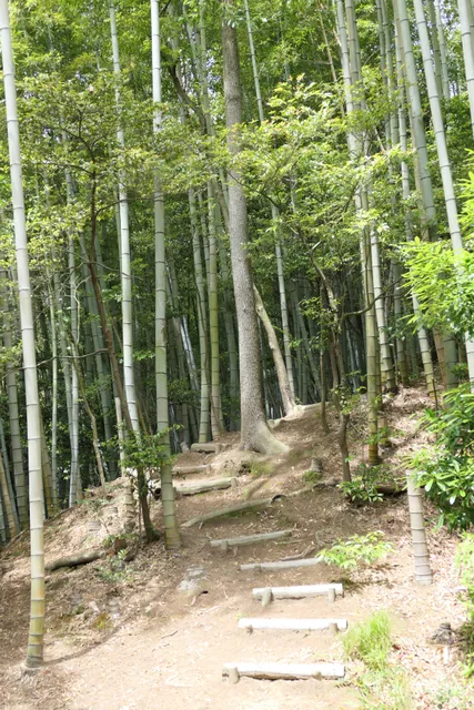 Izumisano Kyuryo Ryokuchi Park