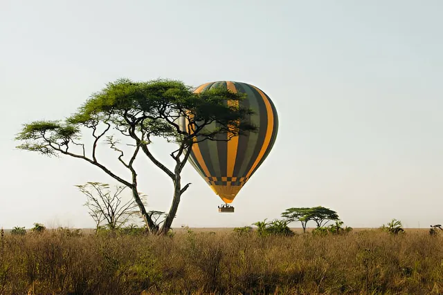 Seko Tours Adventures | Tanzania Safari Specialists for Tailor-Made Tours