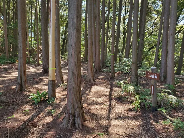 Site of Maruko Castle