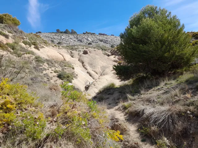 Playa Fósil "El Caracolar"