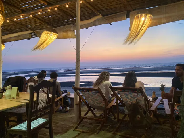 wild shack goa