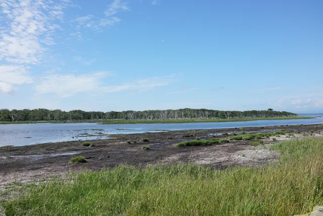 Narawara Observation Space