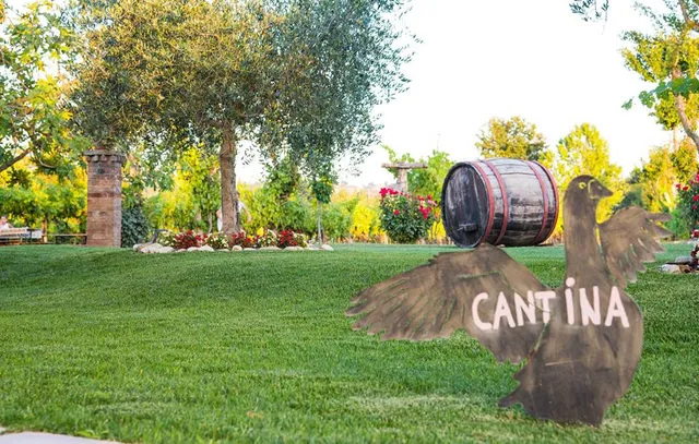 Azienda Agricola Mariotti Cesare