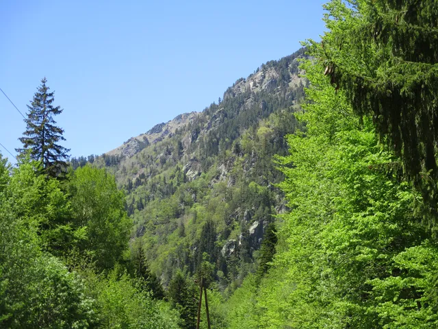 Kirilova Polyana Meadow