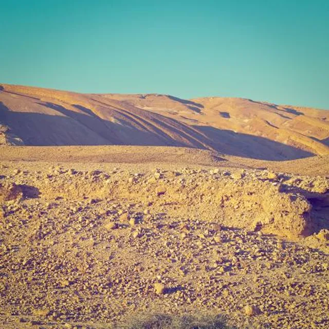 photo-1