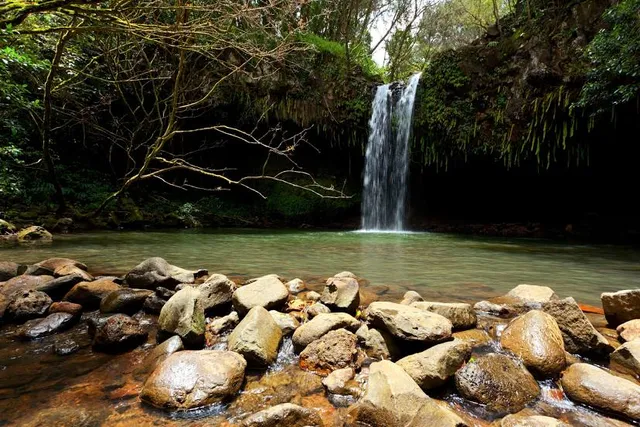 Twin Falls Maui Farm Stand