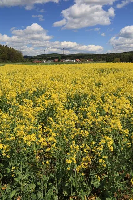 Munroe Falls Metro Park