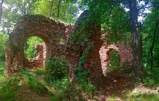Castle ruins Fulštejn