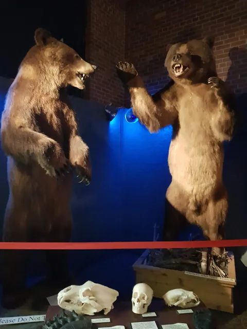 CMU Museum of Cultural and Natural History