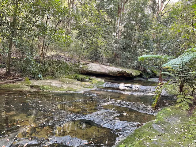Blackbutt Creek Track