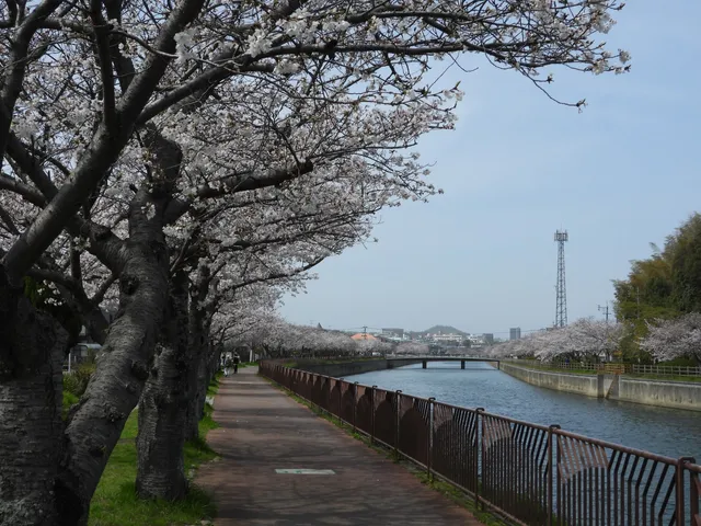Norimatsu Kanayamagawa Flower Volunteer Park