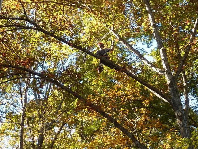 Tree Works Unlimited