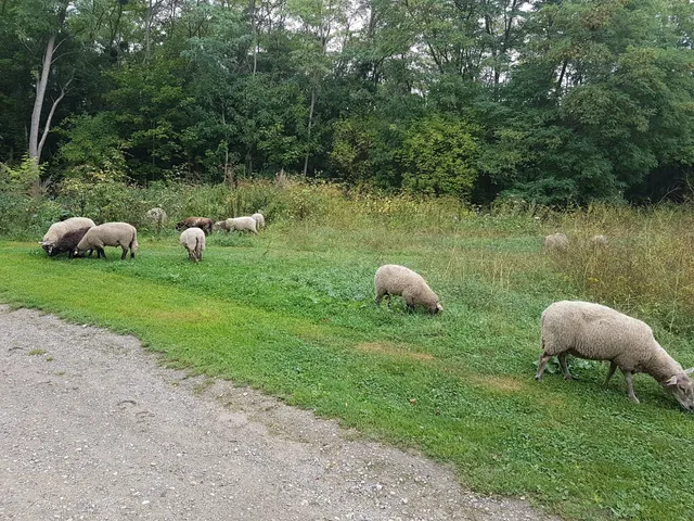 Regional area of ​​Butte Pinson