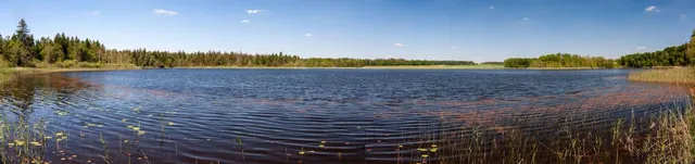 Blitzenreuter Seenplatte Nature Reserve