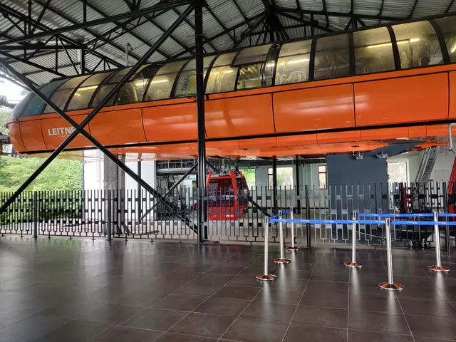 photo-1