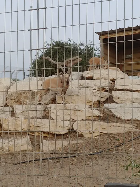 Etgarim Lakhish Park