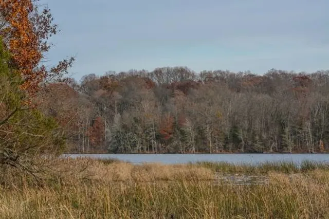 Gifford Pinchot State Park