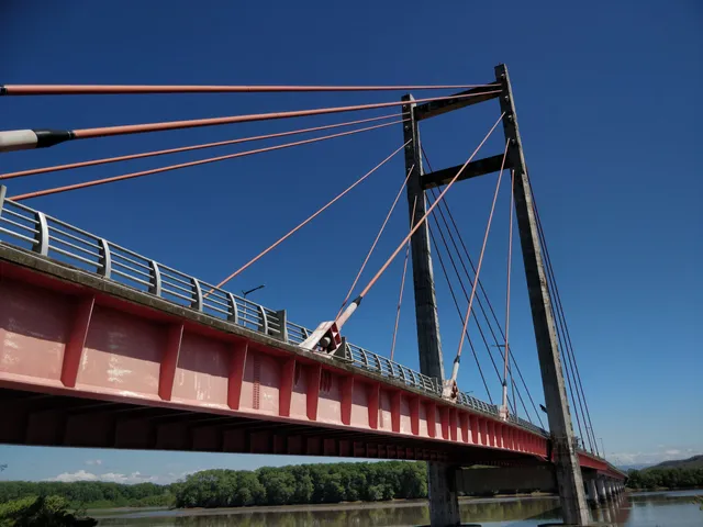 Puente La Amistad