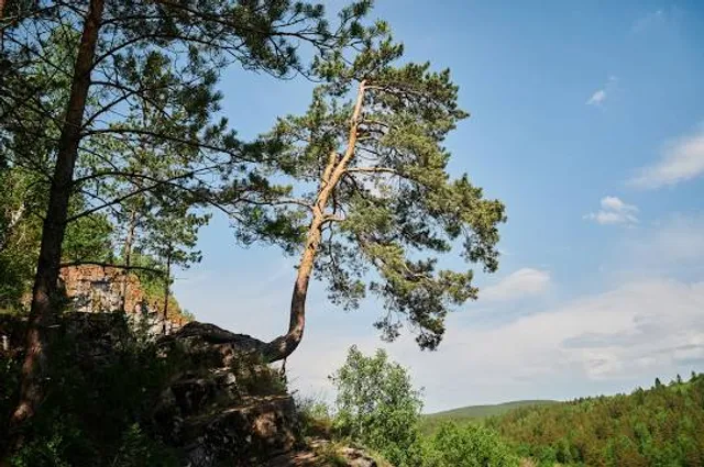 Radkowskie Skały i Filary Skalne