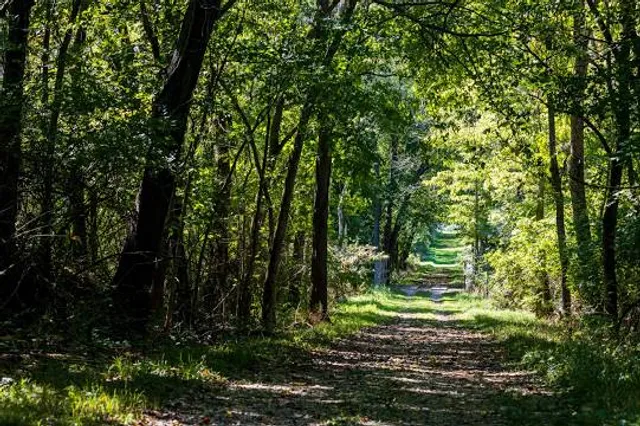 Friends Creek Conservation Area