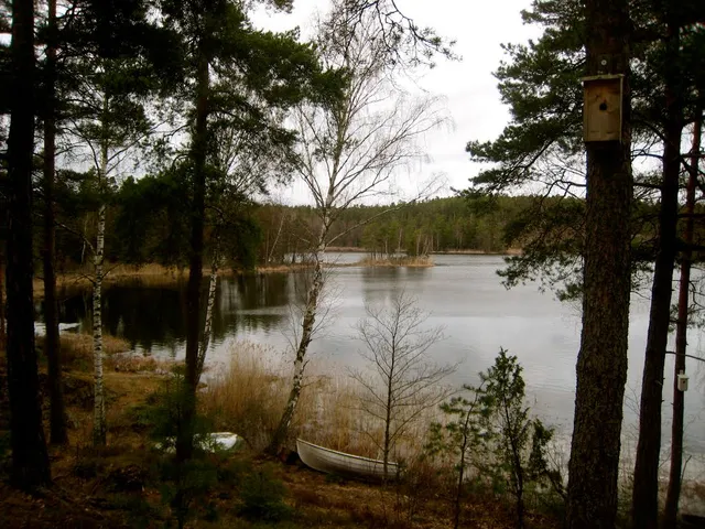Öringesjön