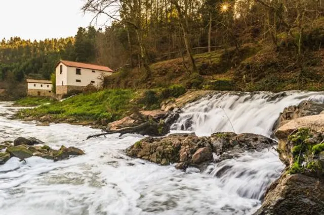 Parque Temático Molinológico