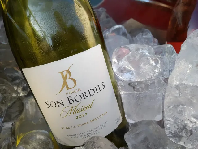Bodega Finca Son Bordils
