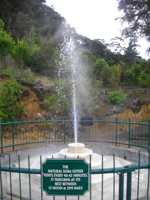 Mokena Geyser