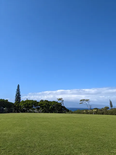 Napili Park