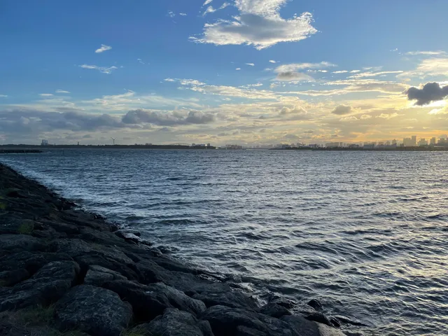 Beach (Kasai Seaside Park Nishi Nagisa)