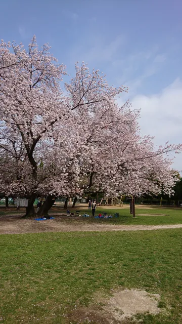 Higashikoshigaya Daini Park