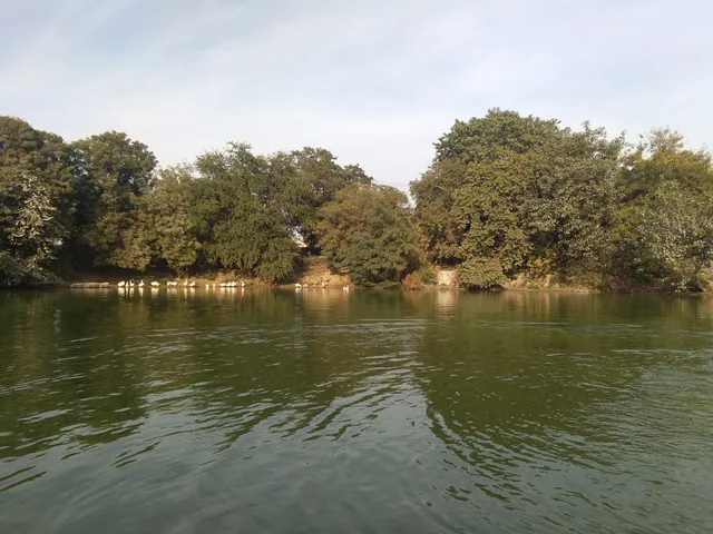 Paliwal Park Lake