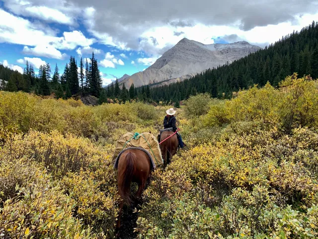 McKenzie's Trails West