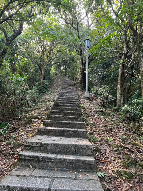 Dajianshan Trail