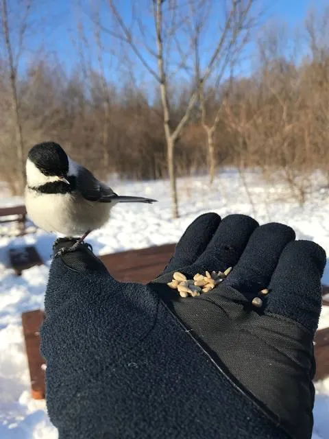Fernand-Seguin Ecological Centre
