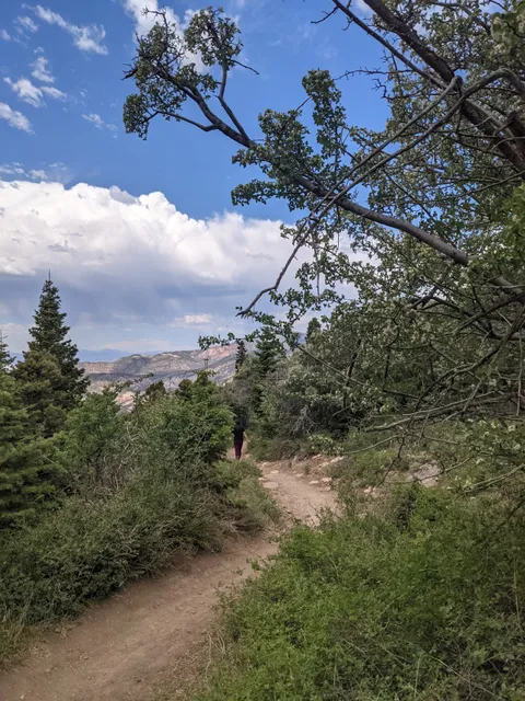 C Overlook - Iron Hills Trail System