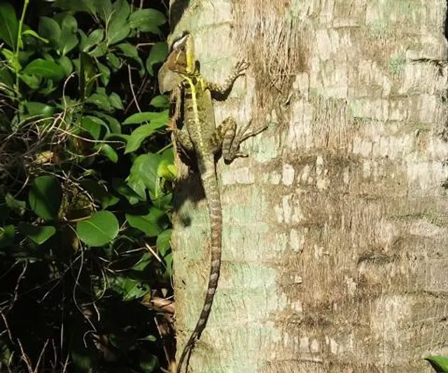 Naturalistic Area Frassineto