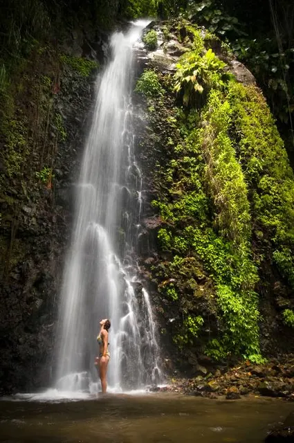 Wisata Srambang park