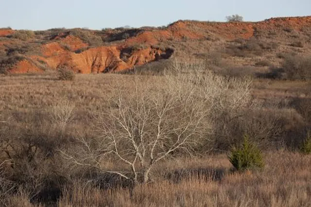 Black Kettle National Grasslands