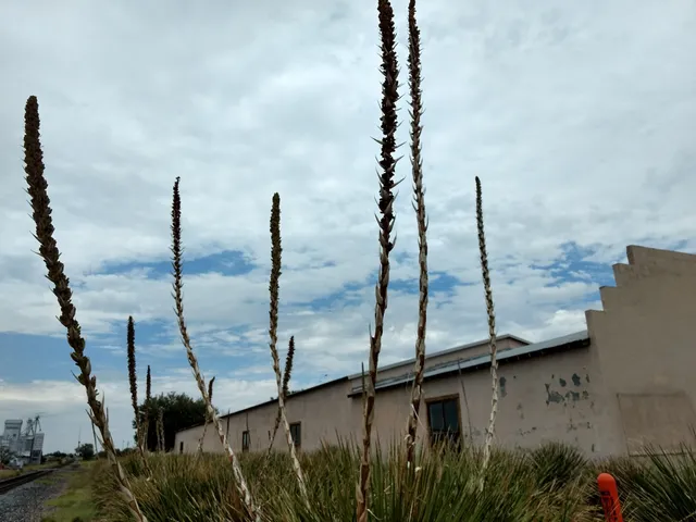 John Chamberlain / Chinati Foundation